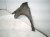 2026 Toyota Camry Front Passenger Fender Grey 53801 AQ010 Replacement 2026 Toyota Camry Front Passenger Fender Grey 53801 AQ010 Replacement thumbnail