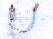 2021 Nissan Titan Driver Front Oxygen Sensor 5.6l 22630 9BT0A Replacement 2021 Nissan Titan Driver Front Oxygen Sensor 5.6l 22630 9BT0A Replacement thumbnail