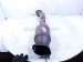 2021 Nissan Titan Catalytic Driver Lower Exhaust Converter 5.6l 20020 9FV0A Replacement 2021 Nissan Titan Catalytic Driver Lower Exhaust Converter 5.6l 20020 9FV0A Replacement thumbnail
