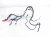 2016 Chevy Silverado 1500 Engine Room Wire Harness 4.3l 4x2 23402796 Replacement 2016 Chevy Silverado 1500 Engine Room Wire Harness 4.3l 4x2 23402796 Replacement thumbnail