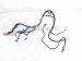 2016 Chevy Silverado 1500 Engine Room Wire Harness 4.3l 4x2 23402796 Replacement 2016 Chevy Silverado 1500 Engine Room Wire Harness 4.3l 4x2 23402796 Replacement thumbnail