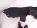 2022 Honda CR V Rear Driver Inner Fender Liner 74590 TLA A50 Replacement 2022 Honda CR V Rear Driver Inner Fender Liner 74590 TLA A50 Replacement thumbnail