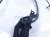 2018 Honda Clarity Rear Driver Abs Epb Wire Harness 47560 TRT A01 Replacement 2018 Honda Clarity Rear Driver Abs Epb Wire Harness 47560 TRT A01 Replacement thumbnail