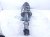 2025 Nissan Kicks Front Driver Strut Absorber + Spring 54303 7LF2B Replacement 2025 Nissan Kicks Front Driver Strut Absorber + Spring 54303 7LF2B Replacement thumbnail