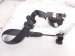 2025 Nissan Kicks Front Passenger Seat Belt Black 86884 7LF3A Replacement 2025 Nissan Kicks Front Passenger Seat Belt Black 86884 7LF3A Replacement thumbnail