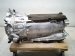 2025 Mazda Cx 90 Automatic Transmission = 16k Mi P3Y8 03 000A Replacement 2025 Mazda Cx 90 Automatic Transmission = 16k Mi P3Y8 03 000A Replacement thumbnail