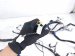 2022 Honda Odyssey Dash Instrument Wire Harness Ex l 32117 THR A28 Replacement 2022 Honda Odyssey Dash Instrument Wire Harness Ex l 32117 THR A28 Replacement thumbnail