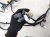 2022 Honda Odyssey Dash Instrument Wire Harness Ex l 32117 THR A28 Replacement 2022 Honda Odyssey Dash Instrument Wire Harness Ex l 32117 THR A28 Replacement thumbnail