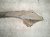 1996 Acura NSX Rear Subframe / Crossmember 50200 SL0 010 Replacement 1996 Acura NSX Rear Subframe / Crossmember 50200 SL0 010 Replacement thumbnail