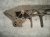 1996 Acura NSX Rear Subframe / Crossmember 50200 SL0 010 Replacement 1996 Acura NSX Rear Subframe / Crossmember 50200 SL0 010 Replacement thumbnail