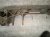 1996 Acura NSX Rear Subframe / Crossmember 50200 SL0 010 Replacement 1996 Acura NSX Rear Subframe / Crossmember 50200 SL0 010 Replacement thumbnail
