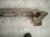 1996 Acura NSX Rear Subframe / Crossmember 50200 SL0 010 Replacement 1996 Acura NSX Rear Subframe / Crossmember 50200 SL0 010 Replacement thumbnail