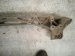 1996 Acura NSX Rear Subframe / Crossmember 50200 SL0 010 Replacement 1996 Acura NSX Rear Subframe / Crossmember 50200 SL0 010 Replacement thumbnail