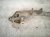 1996 Acura NSX Rear Subframe / Crossmember 50200 SL0 010 Replacement 1996 Acura NSX Rear Subframe / Crossmember 50200 SL0 010 Replacement thumbnail