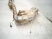 2025 Subaru Forester Catalytic Exhaust Manifold W/conv 2.5l Awd 44620AF120 Replacement 2025 Subaru Forester Catalytic Exhaust Manifold W/conv 2.5l Awd 44620AF120 Replacement thumbnail