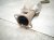 2025 Subaru Forester Exhaust Pipe Assy 2.5l Awd 44200SL05A Replacement 2025 Subaru Forester Exhaust Pipe Assy 2.5l Awd 44200SL05A Replacement thumbnail