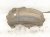 2025 Subaru Forester Front Driver Inner Fender Liner 59110SL010 Replacement 2025 Subaru Forester Front Driver Inner Fender Liner 59110SL010 Replacement thumbnail