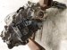 2019 Toyota Tacoma Automatic Transmission = 78k Mi 35010 04280 Replacement 2019 Toyota Tacoma Automatic Transmission = 78k Mi 35010 04280 Replacement thumbnail