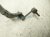 2021 Nissan Titan Front Stabilizer / Sway Bar W/links 54611 EZ00D Replacement 2021 Nissan Titan Front Stabilizer / Sway Bar W/links 54611 EZ00D Replacement thumbnail