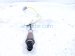 2021 Nissan Titan Driver Front Oxygen Sensor 5.6l 216500 7910 Replacement 2021 Nissan Titan Driver Front Oxygen Sensor 5.6l 216500 7910 Replacement thumbnail