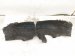 2021 Tesla Model Y Rear Driver Inner Fender Liner 1492615 00 A Replacement 2021 Tesla Model Y Rear Driver Inner Fender Liner 1492615 00 A Replacement thumbnail