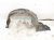 2021 Toyota Corolla Front Driver Inner Fender Liner 53806 12100 Replacement 2021 Toyota Corolla Front Driver Inner Fender Liner 53806 12100 Replacement thumbnail