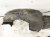 2021 Toyota Corolla Front Driver Inner Fender Liner 53806 12100 Replacement 2021 Toyota Corolla Front Driver Inner Fender Liner 53806 12100 Replacement thumbnail
