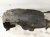 2021 Toyota Corolla Front Passenger Inner Fender Liner 53805 12100 Replacement 2021 Toyota Corolla Front Passenger Inner Fender Liner 53805 12100 Replacement thumbnail