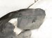 2023 Honda Ridgeline Front Driver Inner Fender Liner 74151 T6Z A00 Replacement 2023 Honda Ridgeline Front Driver Inner Fender Liner 74151 T6Z A00 Replacement thumbnail