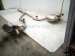 2025 Ford Explorer Rear Dual Exhaust Muffler 2.3l Awd* N1MZ 5230 E Replacement 2025 Ford Explorer Rear Dual Exhaust Muffler 2.3l Awd* N1MZ 5230 E Replacement thumbnail