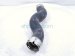 2024 Toyota Tacoma Driver Intercooler Hose 2.4t 17342 AK011 Replacement 2024 Toyota Tacoma Driver Intercooler Hose 2.4t 17342 AK011 Replacement thumbnail
