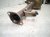 2016 Toyota 4 Runner Rear Exhaust Muffler W/pipe 4.0l 4x2 17420 31360 Replacement 2016 Toyota 4 Runner Rear Exhaust Muffler W/pipe 4.0l 4x2 17420 31360 Replacement thumbnail
