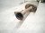 2016 Toyota 4 Runner Rear Exhaust Muffler W/pipe 4.0l 4x2 17420 31360 Replacement 2016 Toyota 4 Runner Rear Exhaust Muffler W/pipe 4.0l 4x2 17420 31360 Replacement thumbnail