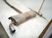 2017 BMW Minicooper Countryman Rear Exhaust Muffler W/pipe 2.0l Fwd 18 30 8 627 279 Replacement 2017 BMW Minicooper Countryman Rear Exhaust Muffler W/pipe 2.0l Fwd 18 30 8 627 279 Replacement thumbnail
