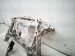 2023 Volkswagen Golf Crossmember Front Engine Sub Frame / Cradle 5WA 199 369 A Replacement 2023 Volkswagen Golf Crossmember Front Engine Sub Frame / Cradle 5WA 199 369 A Replacement thumbnail