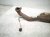 2023 Honda Ridgeline Catalytic Front Exhaust Pipe W/conv 3.5l Awd 18150 5MJ A50 Replacement 2023 Honda Ridgeline Catalytic Front Exhaust Pipe W/conv 3.5l Awd 18150 5MJ A50 Replacement thumbnail