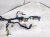 2025 Subaru Forester Dash Instrument Wire Harness awd 81302SL160 Replacement 2025 Subaru Forester Dash Instrument Wire Harness awd 81302SL160 Replacement thumbnail