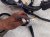 2025 Subaru Forester Dash Instrument Wire Harness awd 81302SL160 Replacement 2025 Subaru Forester Dash Instrument Wire Harness awd 81302SL160 Replacement thumbnail