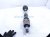 2024 Honda Accord Front Driver Cv Axle Drive Shaft 44306 30B A01 Replacement 2024 Honda Accord Front Driver Cv Axle Drive Shaft 44306 30B A01 Replacement thumbnail