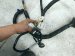 2023 Honda Ridgeline Passenger Eng Room Harness W/fuse 3.5l Awd 3210A T6Z AK0 Replacement 2023 Honda Ridgeline Passenger Eng Room Harness W/fuse 3.5l Awd 3210A T6Z AK0 Replacement thumbnail