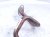 2024 Honda Accord Egr Pipe 2.0l Hybrid 18717 6MA J00 Replacement 2024 Honda Accord Egr Pipe 2.0l Hybrid 18717 6MA J00 Replacement thumbnail