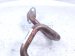 2024 Honda Accord Egr Pipe 2.0l Hybrid 18717 6MA J00 Replacement 2024 Honda Accord Egr Pipe 2.0l Hybrid 18717 6MA J00 Replacement thumbnail