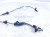 2024 Honda Accord Front Passenger Abs / Wheel Speed Sensor 2.0 57455 30A A01 Replacement 2024 Honda Accord Front Passenger Abs / Wheel Speed Sensor 2.0 57455 30A A01 Replacement thumbnail
