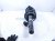2024 Honda Accord Front Driver Strut Absorber + Spring 51620 30B A10 Replacement 2024 Honda Accord Front Driver Strut Absorber + Spring 51620 30B A10 Replacement thumbnail