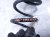 2024 Honda Accord Strut / / Shock Absorber Rear Passenger Coil Spring Sport 2.0l 52441 30A A71 Replacement 2024 Honda Accord Strut / / Shock Absorber Rear Passenger Coil Spring Sport 2.0l 52441 30A A71 Replacement thumbnail