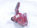 2021 Nissan Titan Front Passenger Hood Hinge Red 65400 EZ40B Replacement 2021 Nissan Titan Front Passenger Hood Hinge Red 65400 EZ40B Replacement thumbnail