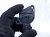 2020 Toyota Camry Mass Air Flow Sensor 2.5l 22204 75040 Replacement 2020 Toyota Camry Mass Air Flow Sensor 2.5l 22204 75040 Replacement thumbnail