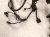2024 Toyota Corolla Engine Wire Harness 2.0l At Fwd 82121 12W20 Replacement 2024 Toyota Corolla Engine Wire Harness 2.0l At Fwd 82121 12W20 Replacement thumbnail