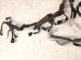 2024 Toyota Corolla Engine Wire Harness 2.0l At Fwd 82121 12W20 Replacement 2024 Toyota Corolla Engine Wire Harness 2.0l At Fwd 82121 12W20 Replacement thumbnail