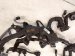 2024 Toyota Corolla Engine Wire Harness 2.0l At Fwd 82121 12W20 Replacement 2024 Toyota Corolla Engine Wire Harness 2.0l At Fwd 82121 12W20 Replacement thumbnail